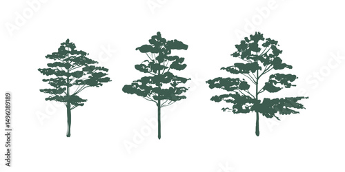 Set of Vector Tree illustrations in Green Color. Sketch of a pine tree. Trees silhouettes. Forest silhouettes. Pine trees line art. Sketch style