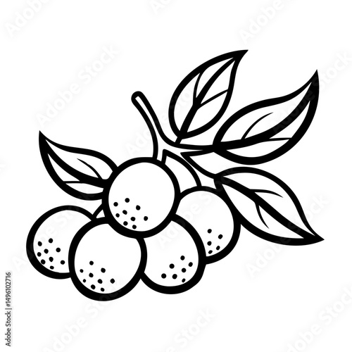 Black line art illustration of berries with leaves  