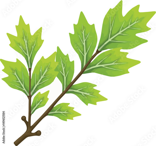 green oak leaves