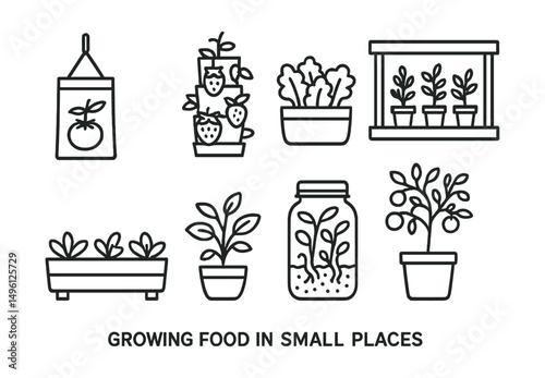 Line style icons of growing food in small places: tomato in hanging bag, strawberry tower icon, patio lettuce box, herb shelf in window, rooftop greens row, sprouts in a jar symbol, dwarf fruit tree
