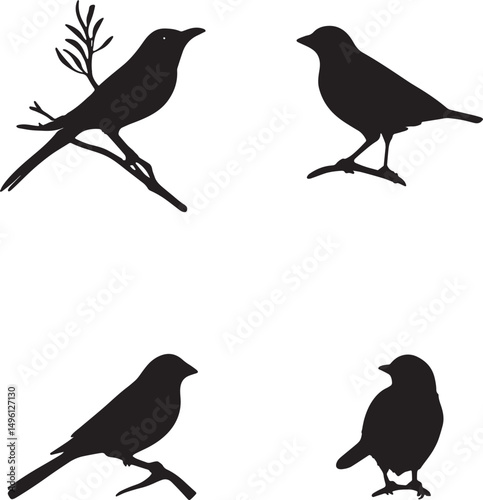 A set of four bird silhouettes perched on tree branches. This artwork is digitally enhanced using AI and manually edited for quality.