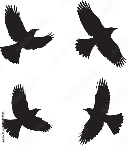 This artwork is digitally enhanced using AI and manually edited for quality. Flying Bird Silhouettes - Set of Four Black Bird Illustrations in Flight.