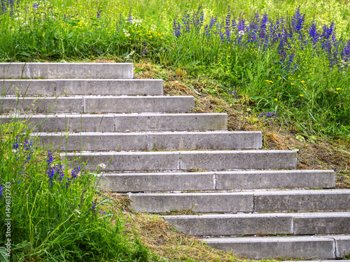 Concrete Steps Through Lush Greenery and Wildflowers