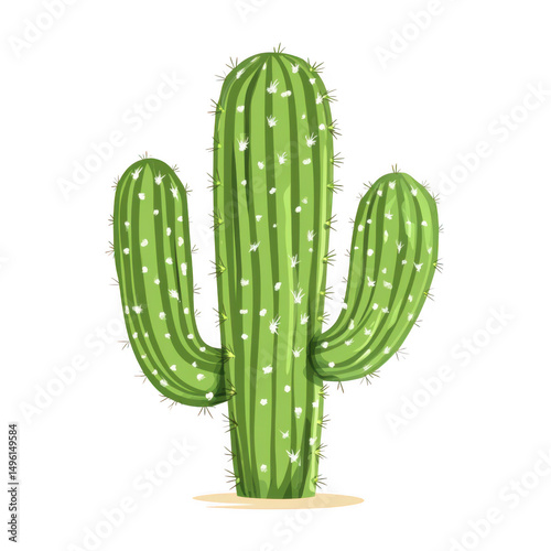 Green cactus with spines isolated on transparent background