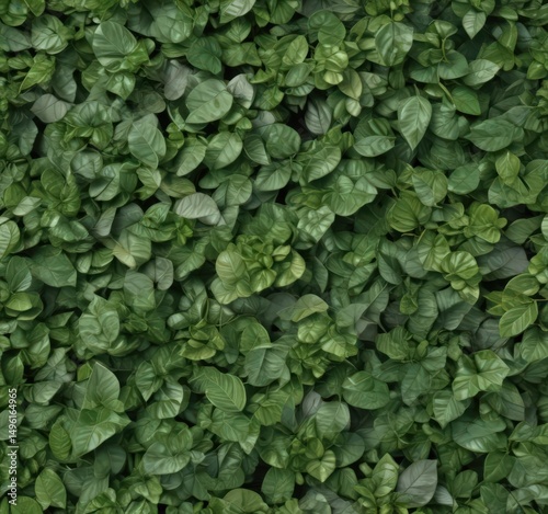 Wallpaper Mural Realistic green leaves, various shapes and sizes,  botany,  green,  summer Torontodigital.ca