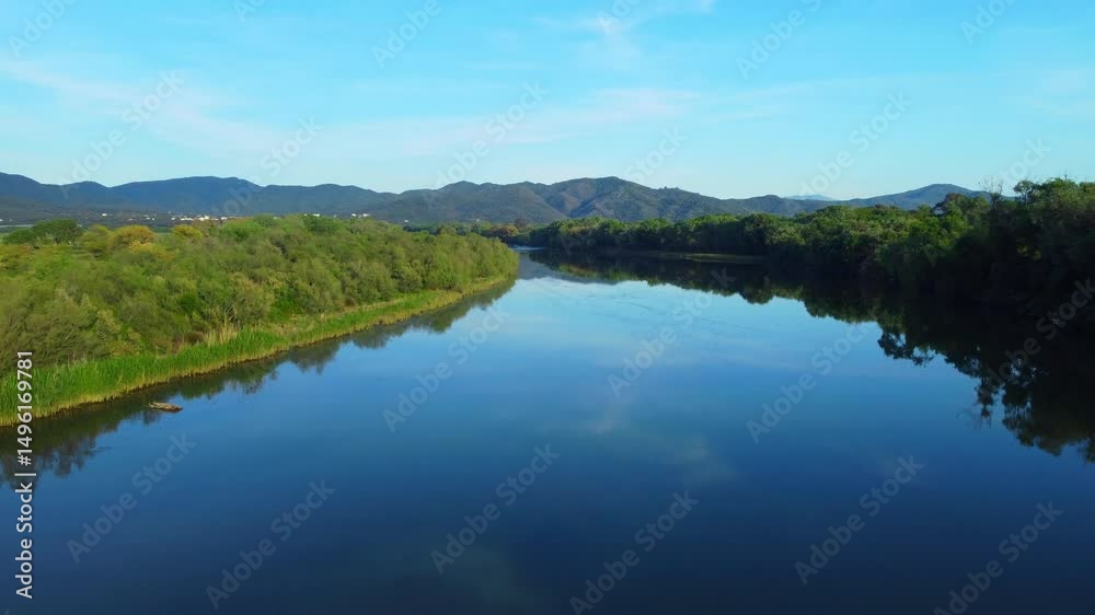 Aerial View of river, Beautiful Aerial View of African Jungles forest and River, Landscape in aerial drone shot. Adove calm tranquil river in Jijel Algeria North Africa, River and green fores trees.