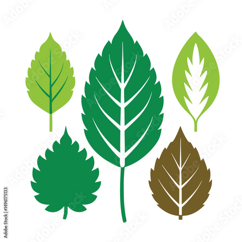 Set of green leaves. Leaf vector art illustration.  leaves isolated on white. green leaves on white background . Collection of  elm leaf logo, icon vector design.