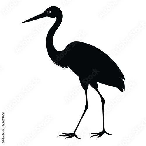 Stork Walking Vector Silhouette on White Background