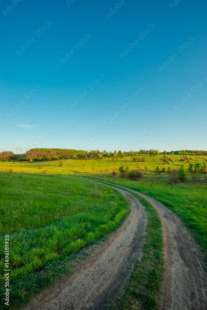 Obraz premium Beautiful landscape photography in the field sunny summer day in the forest , landscape and nature in the Ukraine .Road in the woodladns , summer lands 