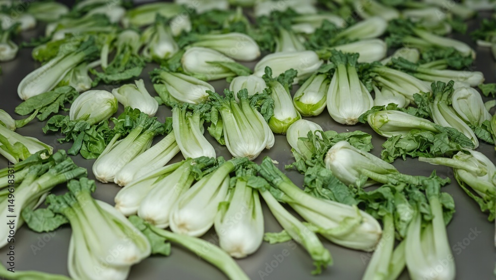 Freshly harvested leeks arranged in bundles on a conveyor belt transitioning from white to green gradients Agricultural processing concept