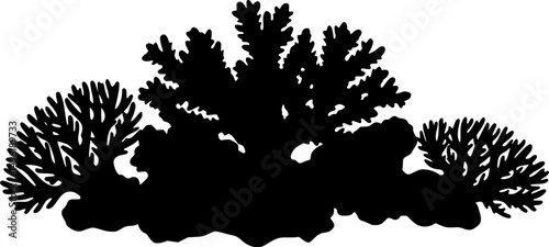 Underwater Sea coral silhouette vector illustration isolated on a white background
