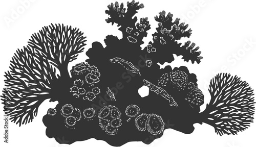Underwater Sea coral silhouette vector illustration isolated on a white background
