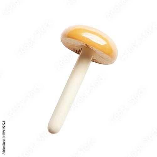Single pale yellow mushroom isolated on transparent background photo