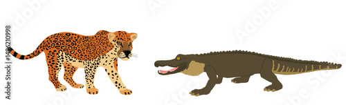 Ambush jaguar attack alligator vector illustration isolated. Survivor watering place battle powerful reptile against wild cat animal. Under water predator carnivore caiman lurking prey feline panther.