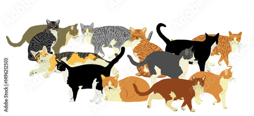 Group of many cats vector illustration isolated on background. Cat family. Lovely friendly pets. Cartoon cat family. Domestic animal in home or farm backyard.