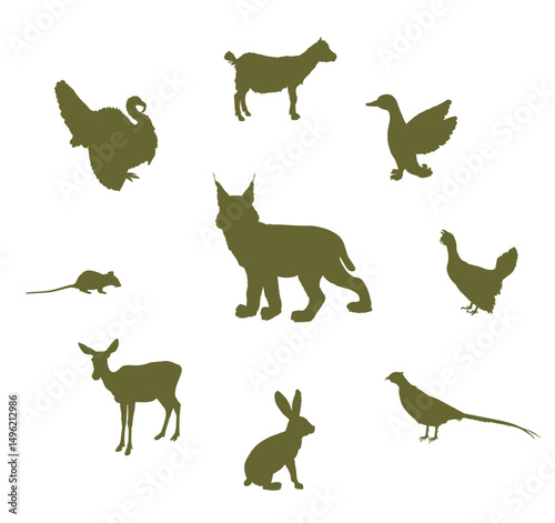 Cunning hungry lynx lurks prey vector silhouette isolated. Wild cat animal predator. Bobcat hunting prey farm poultry danger. Rabbit, rat, pheasant, grouse, fawn, duck, turkey, goatling, deer, goat.