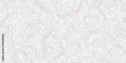 Abstract light gray and white abstract topographic map illustration with contour wavey lines, showing elevation changes and terrain features in a stylized  topo.