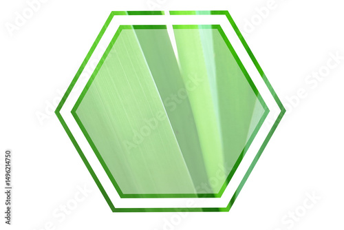 Green double-line hexagon filled with vibrant leaf texture and transparent edges, symbolizing eco structure, clean design, and sustainable concepts. Esg smart farming element