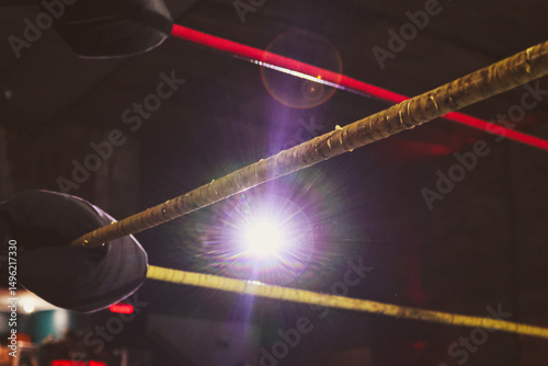 Ropes of a wrestling ring highlighted by spotlight