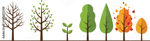 Tree growth stages from bare branches to autumn leaves colorful vector illustration natural progression of seasonal changes 