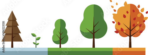 Tree growth stages from seedling to autumn foliage in flat vector style with seasonal color transition 