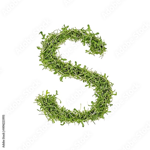 alphabet S made from grass isolated on white background, letter S