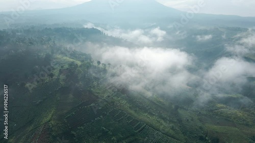 Aerial Morning Landscape of Fog Rolling Over Lush Hills 

