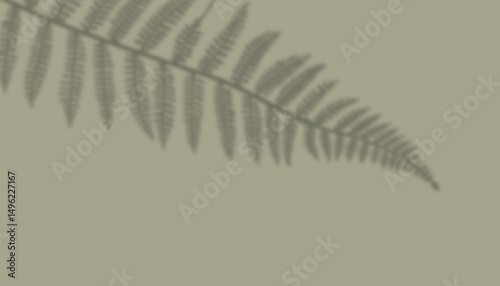 shadow from plant branches on green background