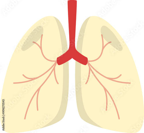 World no tobacco day illustration. No tobacco, no cigarette, love your lungs vector illustration. Vector isolated.