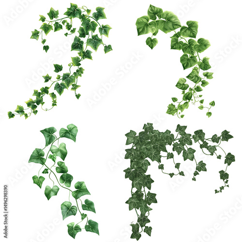 Wallpaper Mural Ivy leaves pattern on black background Torontodigital.ca