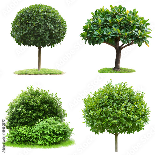 Collection of isolated green trees and bushes photo