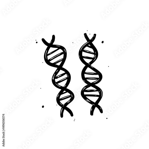 Simplified DNA double helix illustration on a stark white backdrop for scientific use