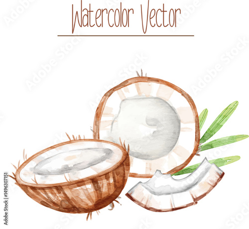 Coconut slice and cut in half, watercolor vector illustration suitable for menu, recipe design, printing.