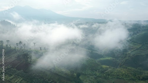 Tranquil Drone Flight Over Morning Fog in Green Highlands

