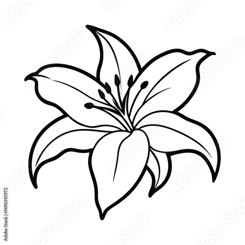 Lily background, feminine illustration design vector