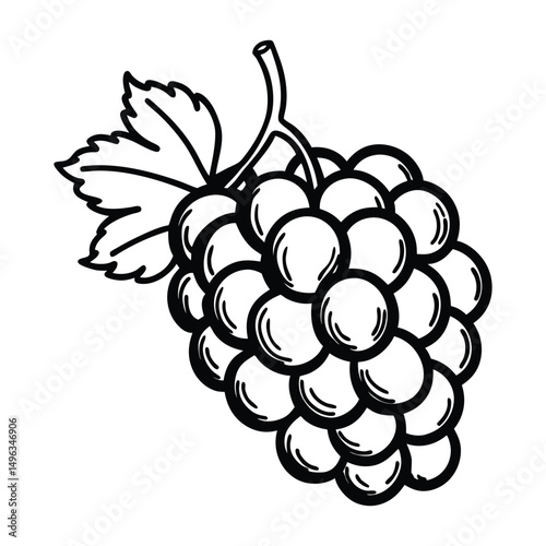grape bunches Set collection bundle sketch engraving generative ai raster illustration