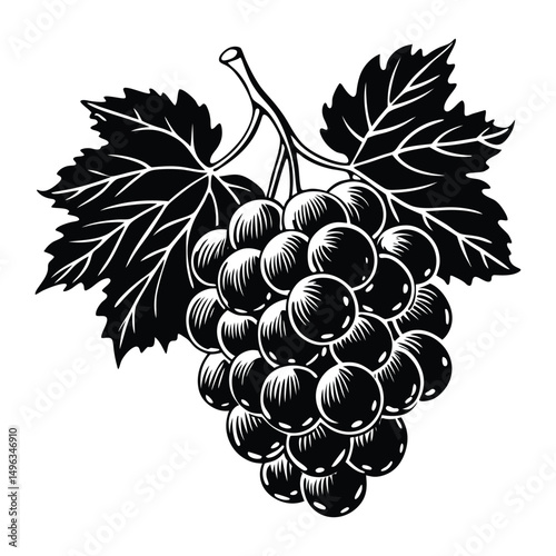 grape bunches Set collection bundle sketch engraving generative ai raster illustration