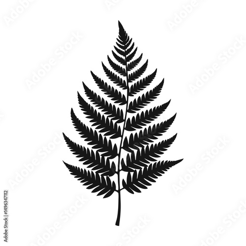 Isolated fern frond silhouette detailed botanical illustration simple natural design, fern, frond, silhouette, black, white, isolated, vector
