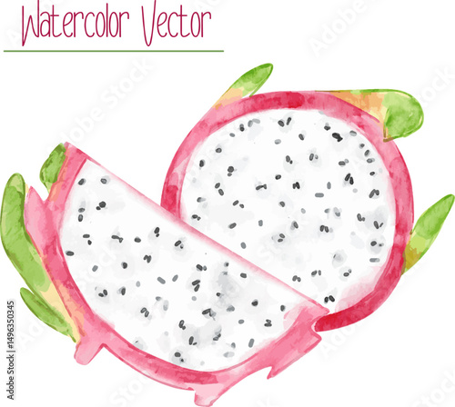 Fresh Cut Dragon Fruit. Vector organic food illustration.