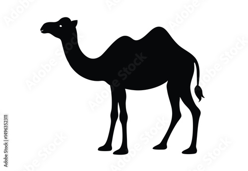 silhouette camel vector, a camel icon silhouettes vector illustration isolated