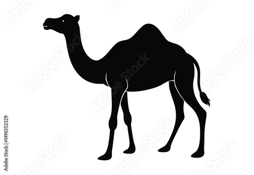 silhouette camel vector, a camel icon silhouettes vector illustration isolated