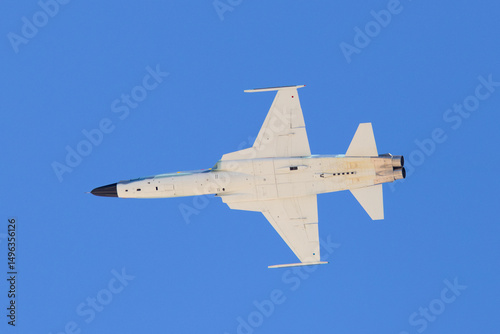 bottom view  of a F-5E Tiger II in the aggressor color scheme
