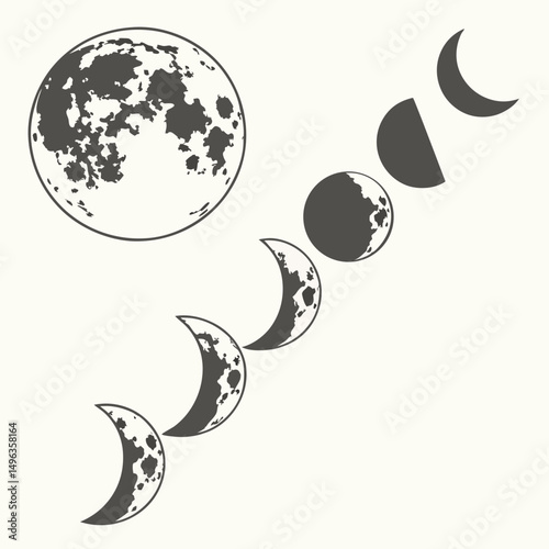 Moon phases cycle celestial lunar illustration