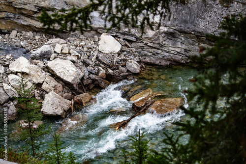 small river in the forest