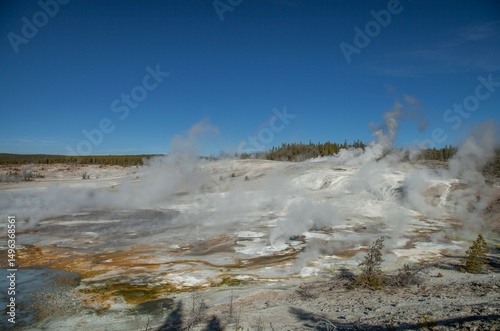 Norris Geyser Basin in Yellowstone National Park, Wyoming