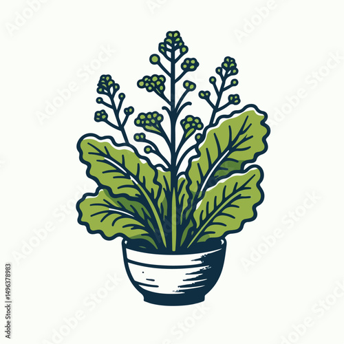 mustard greens vector illustration