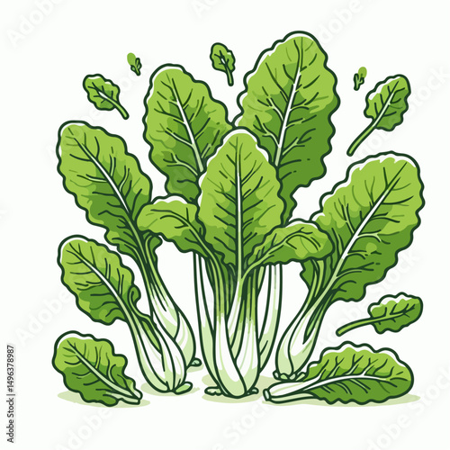 mustard greens vector illustration