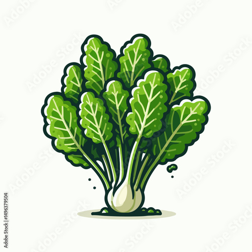 mustard greens vector illustration