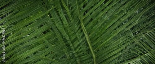 Intricate veins of a lush green palm leaf, sharp focus ,  lush,  close up,  green