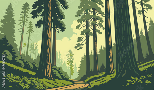 beautiful view of redwood national park california